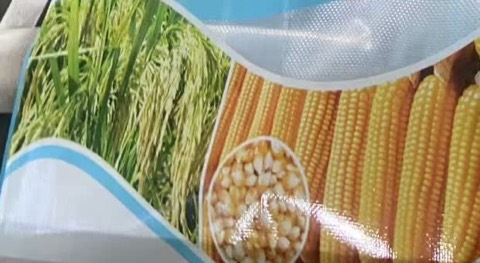 Photographic crop print with visible weave texture on bag fabric